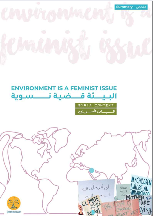 Environment is a Feminist Issue Brief